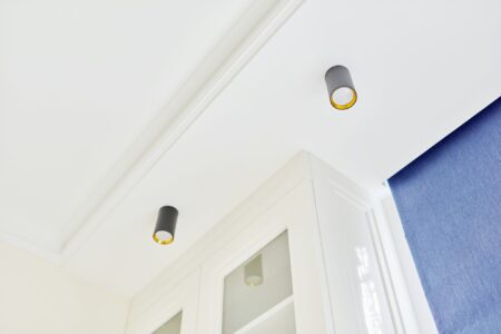 Ceiling Light