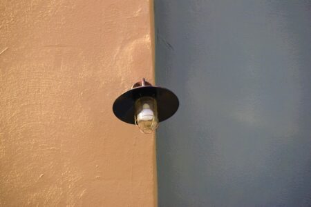 Decorative Wall Light